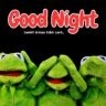 Three frog cotton in the black background withGood Night Funny Images for WhatsApp, Good Night Funny Images for Friends, Cute Funny Good Night Images, Good Night Funny Cartoon Images.